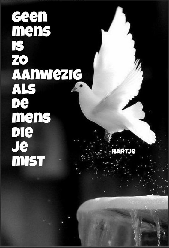 geen mens
