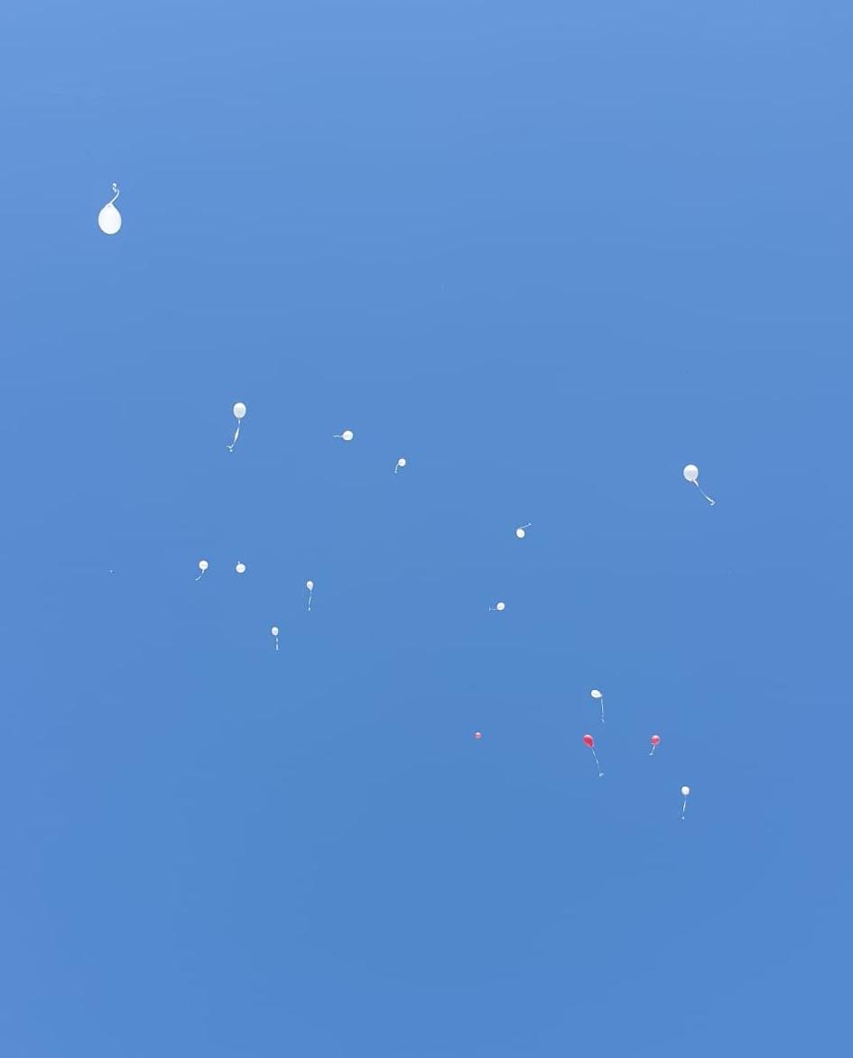 ballonnen