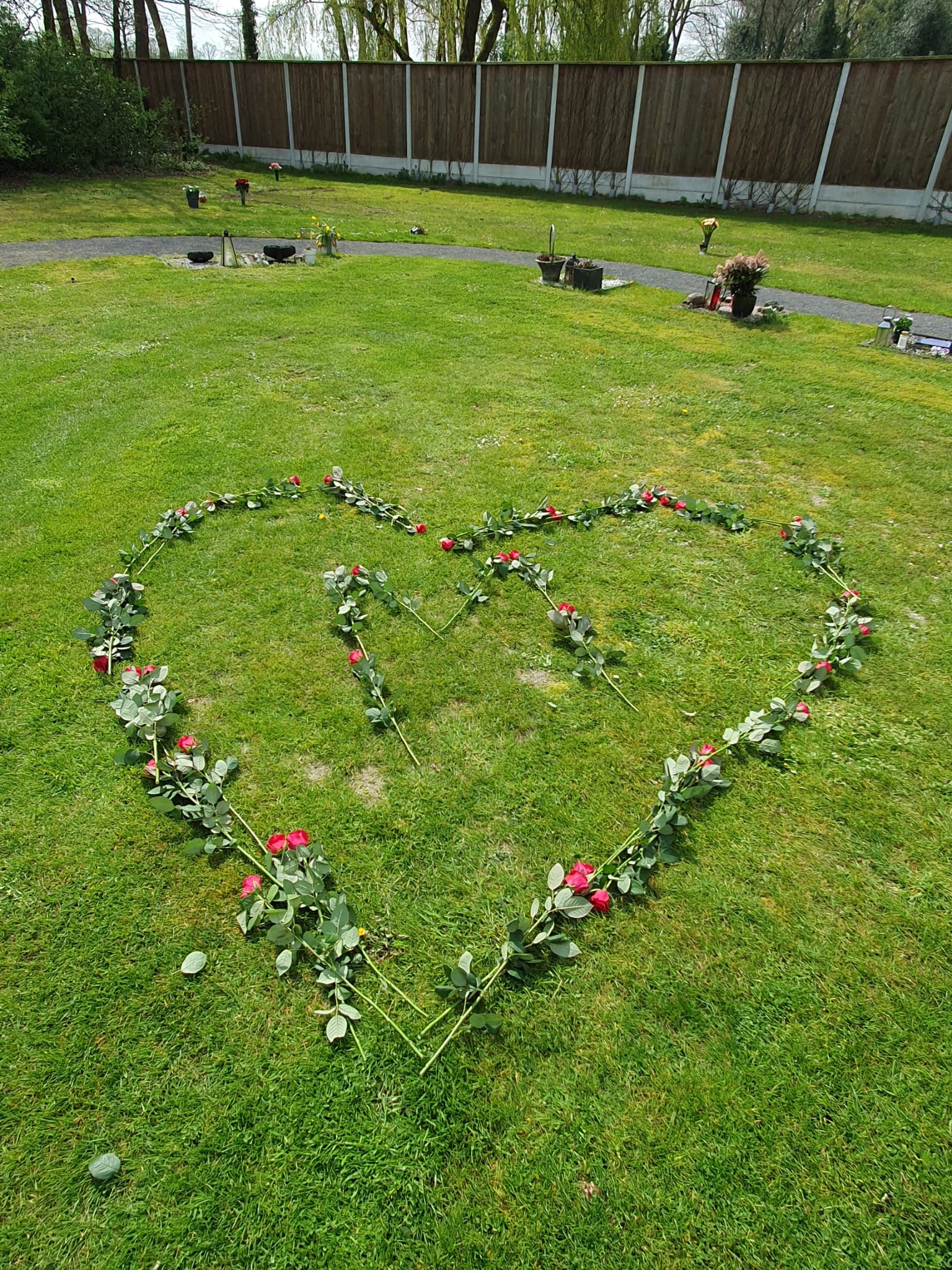 heart